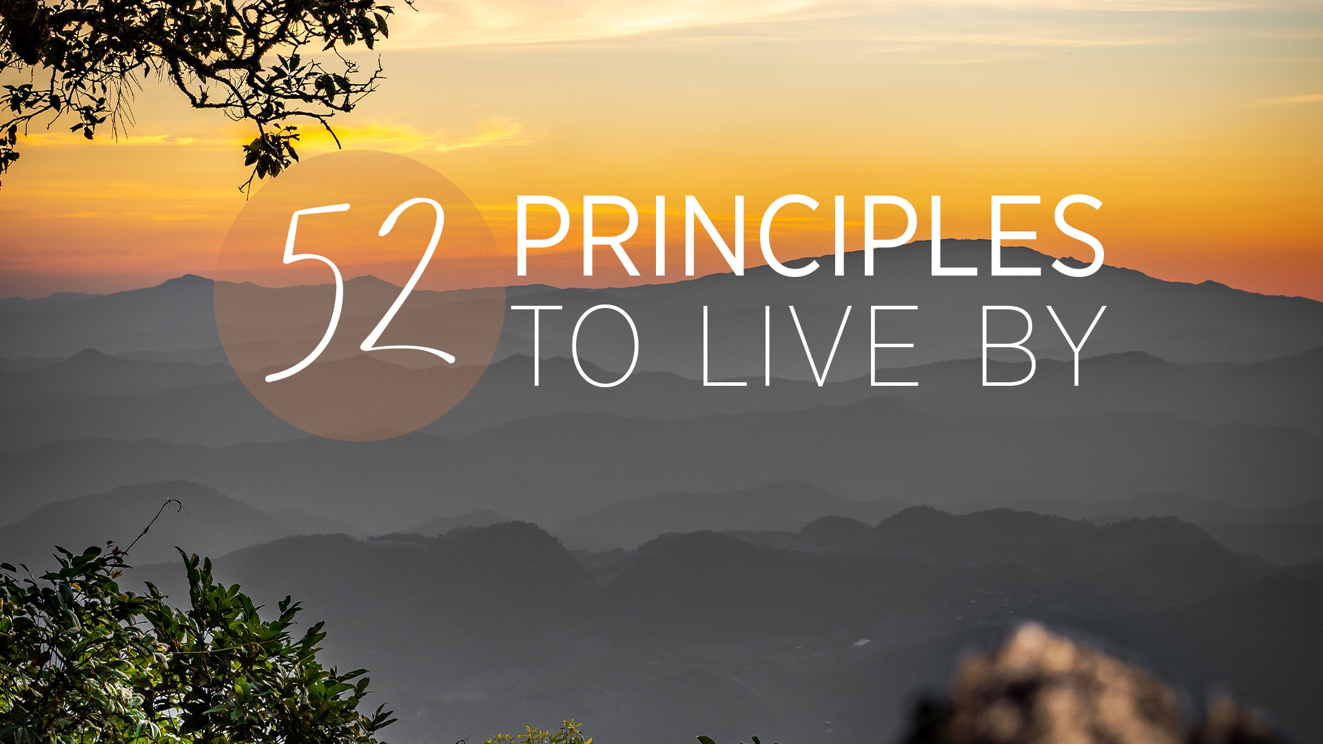 2020 Blog | 52 Principles to Live By