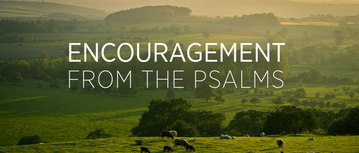 Encouragement from the Psalms - 2021 Blog Header