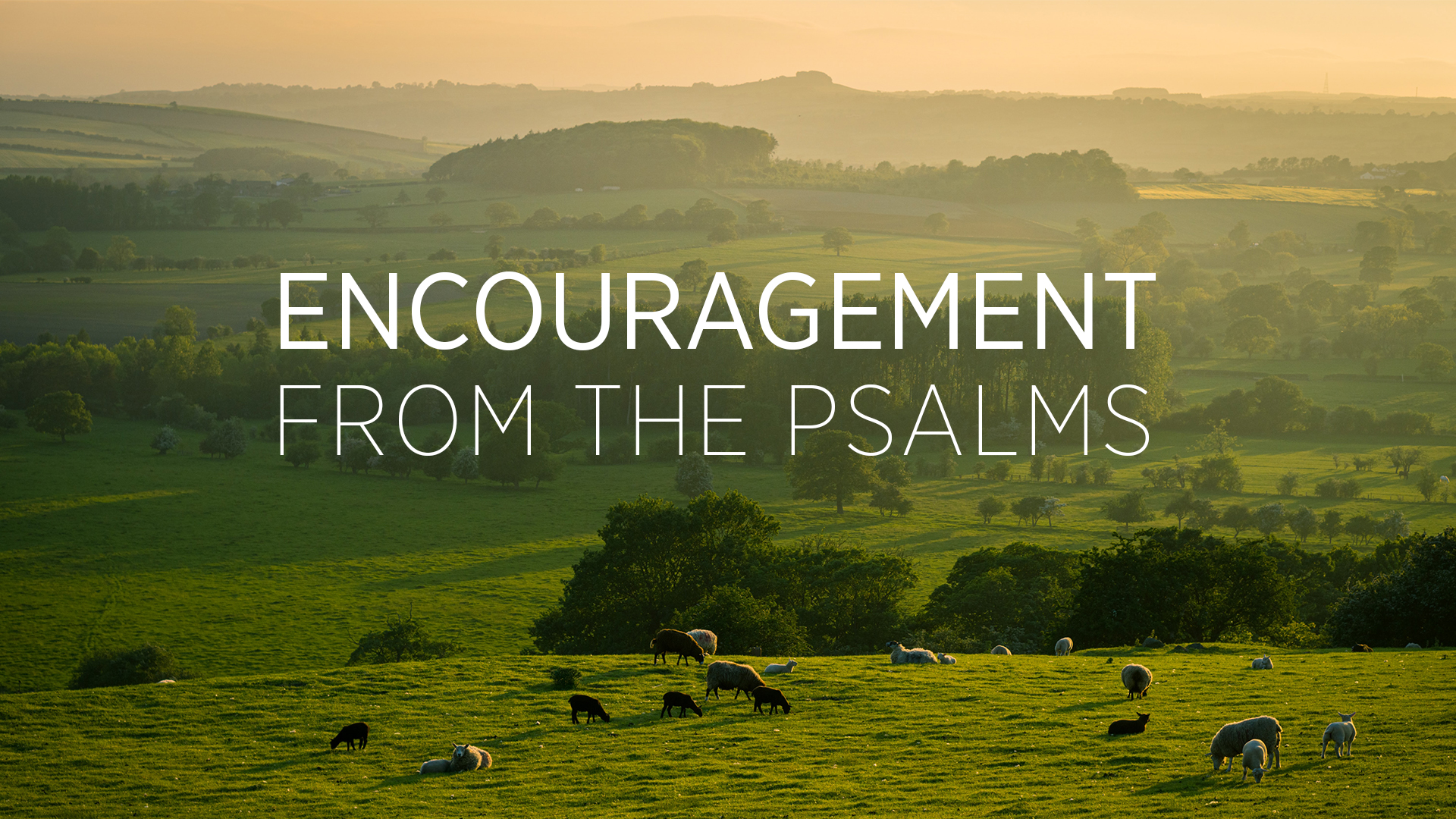 Encouragement from the Psalms - 2021 Blog Header