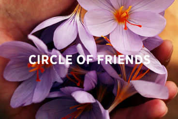 circle of friends