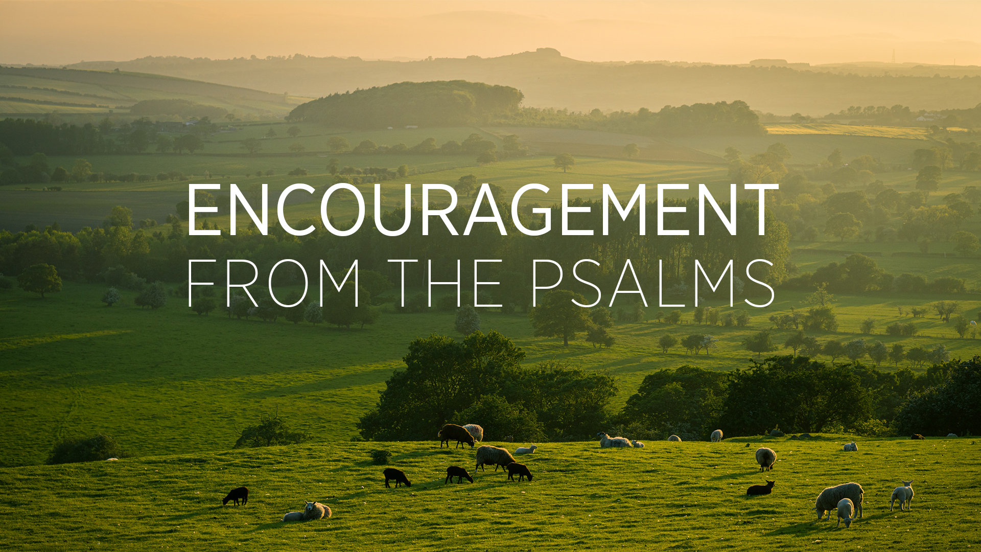  Encouragement from the Psalms