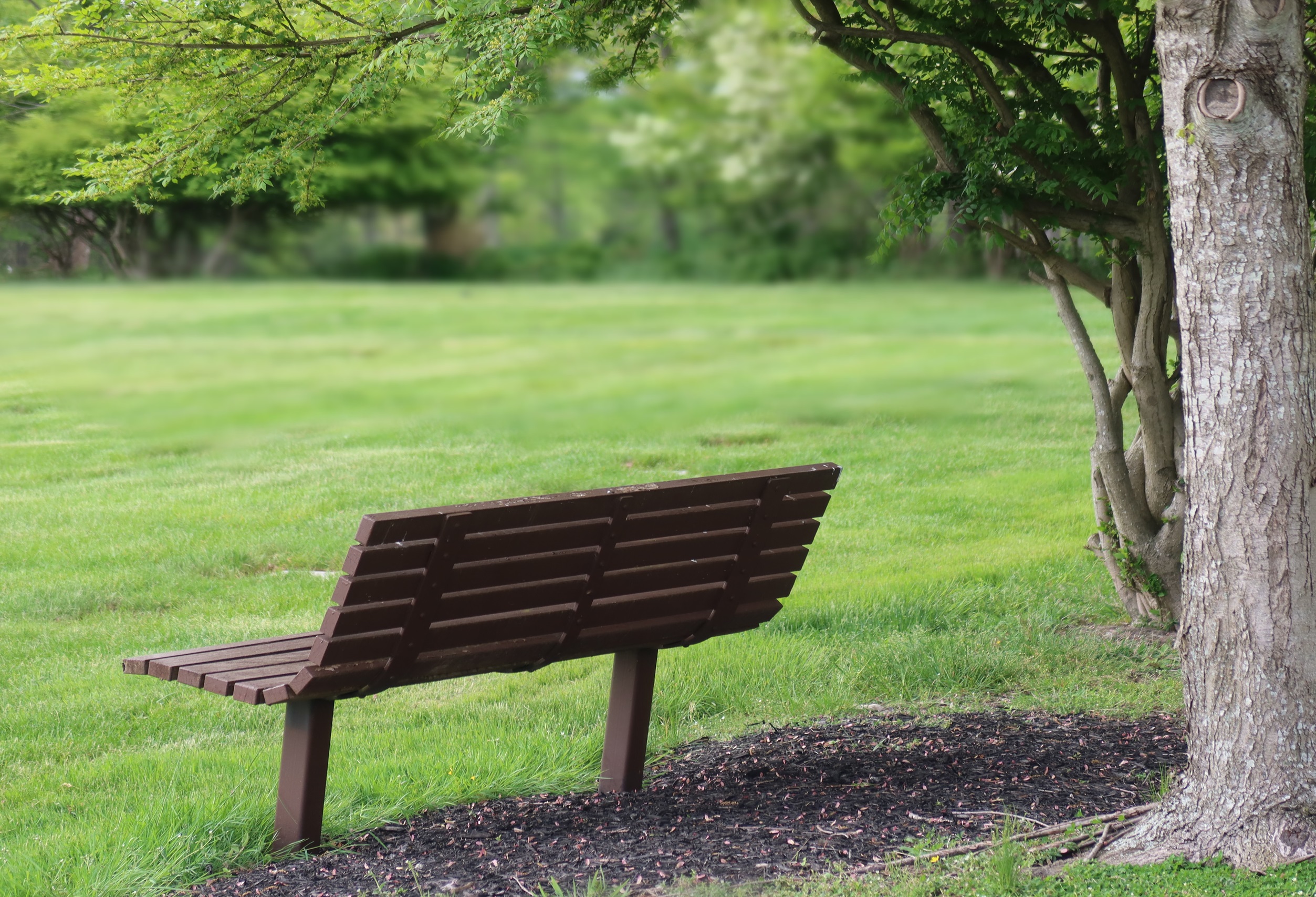 An empty park bench